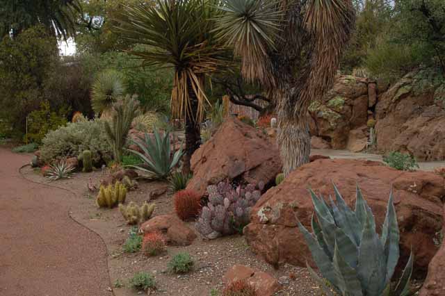 one of the trail in the arboretum